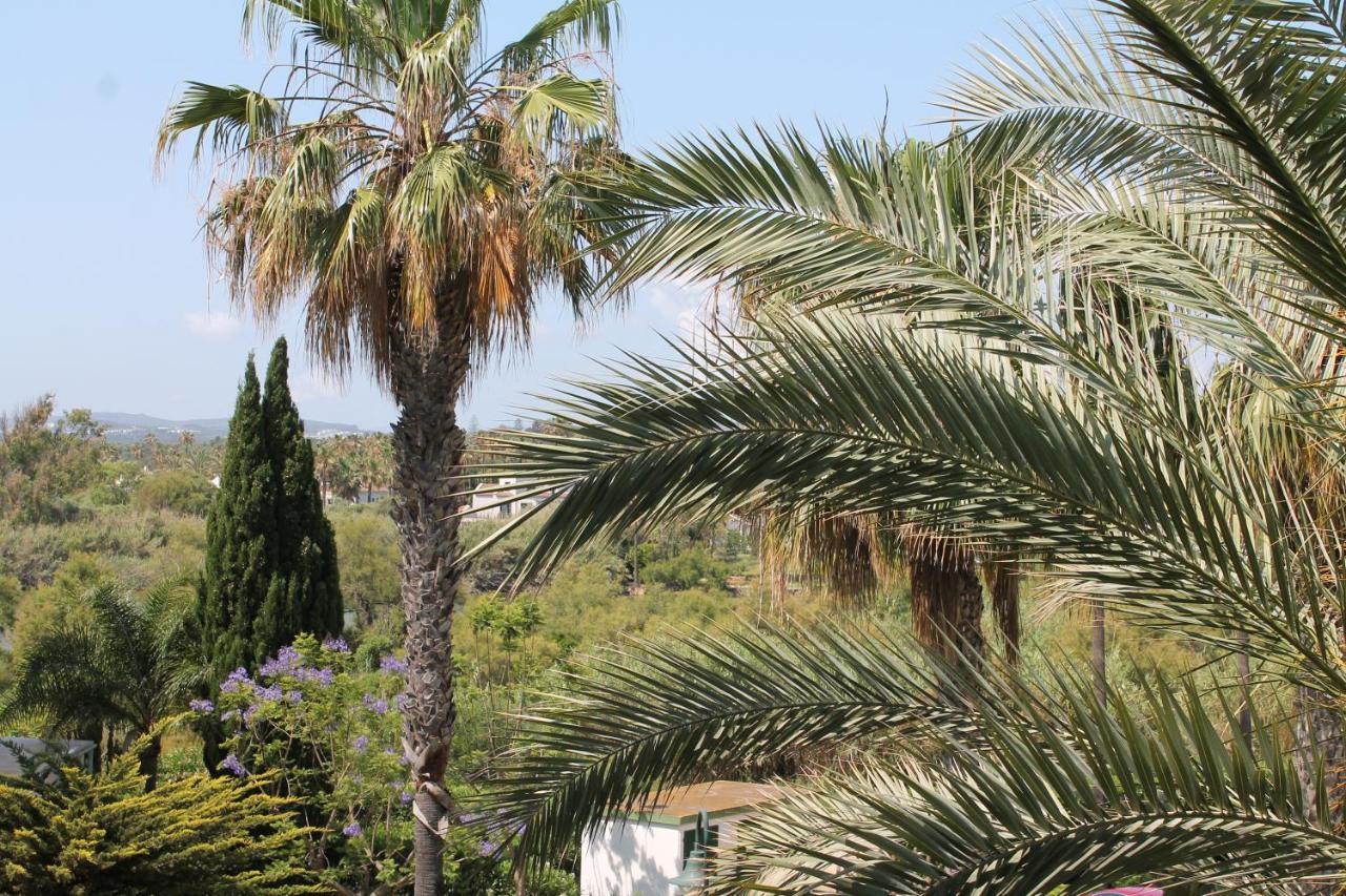 Апартаменты New View Sotogrande Marina - Jungla Del Loro Экстерьер фото